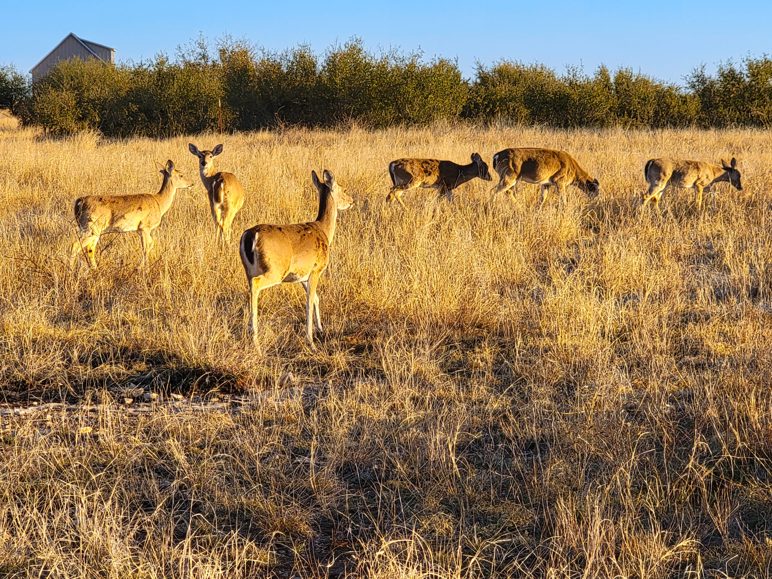 abundant nature within Gaines Bend 